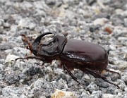 IMG_8078