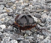 IMG_8093