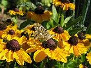 IMG_5024
