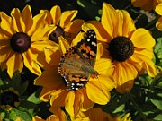 IMG_5025