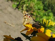 IMG_5026