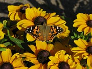 IMG_5027