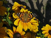 IMG_5028