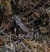 IMG_6195