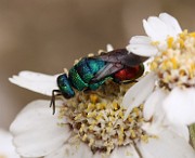 IMG_0564