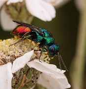 IMG_0566