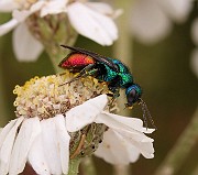 IMG_0568