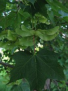 IMG_3859