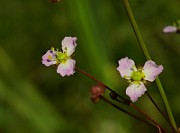 IMG_0054