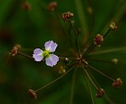 IMG_1934