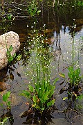 IMG_3697