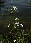 IMG_7177