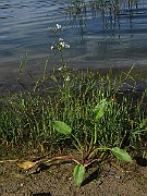 IMG_7179