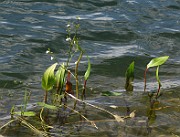 IMG_7187
