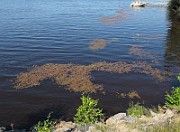 IMG_8760
