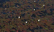 IMG_8766