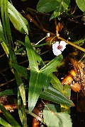 IMG_0938