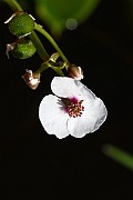 IMG_0944