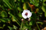 IMG_0945