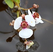 IMG_1871