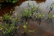 IMG_1872