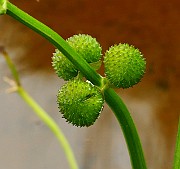 IMG_1878