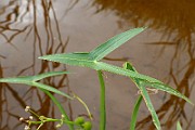 IMG_1879