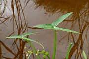 IMG_1880