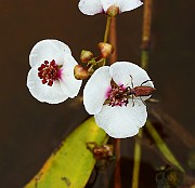 IMG_1884