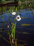 IMG_6765
