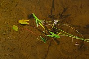 IMG_6766
