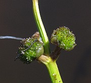 IMG_7709