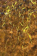 IMG_1414