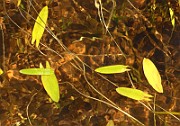 IMG_1417