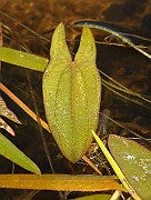 IMG_1418