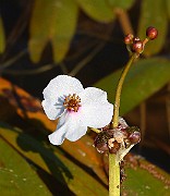 IMG_1419