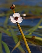 IMG_1420