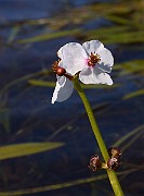 IMG_1423