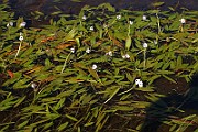 IMG_1425