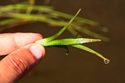 IMG_1439