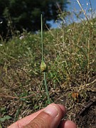 IMG_7312