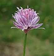 IMG_7356
