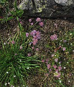 IMG_7378