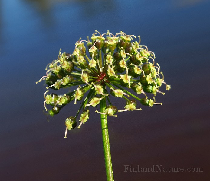 IMG_6793.JPG