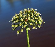IMG_6793