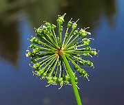 IMG_6795