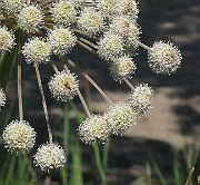 IMG_7034b