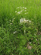 IMG_6324