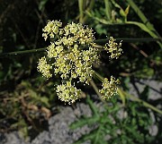 IMG_9828