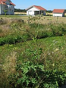 IMG_9831